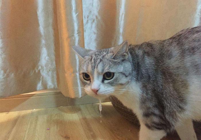 宝骏630发动机怎么样,动力够用吗,养护成本高不高 宝骏630发动机怎么样,动力够用吗,养护成本高不高