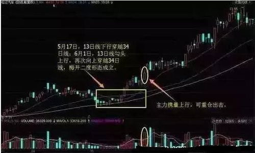 短线炒股怎么赚钱？揭秘超实用技巧，让你轻松把握盈利机会