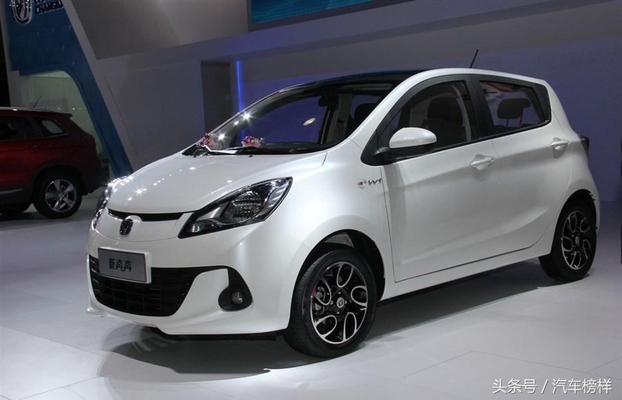 猫咪吃了芹菜会不会中毒？新手铲屎官必看指南