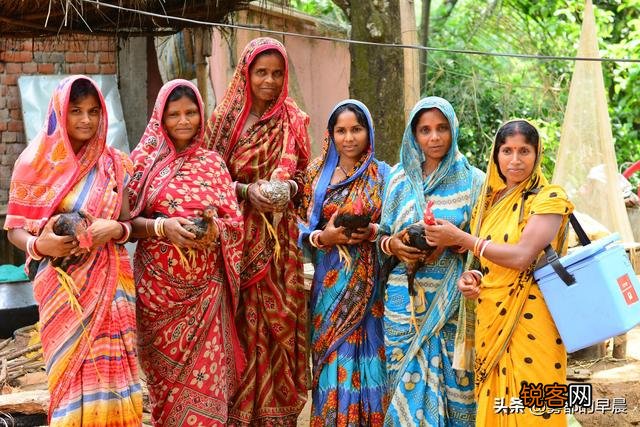 【认识印度种姓区分的完整指南】【帮你解开种姓谜团】