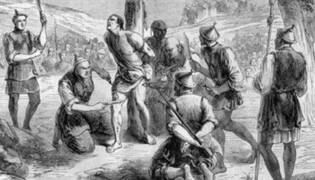 你家真皮沙发正在被猫主子「凌迟处刑」吗？