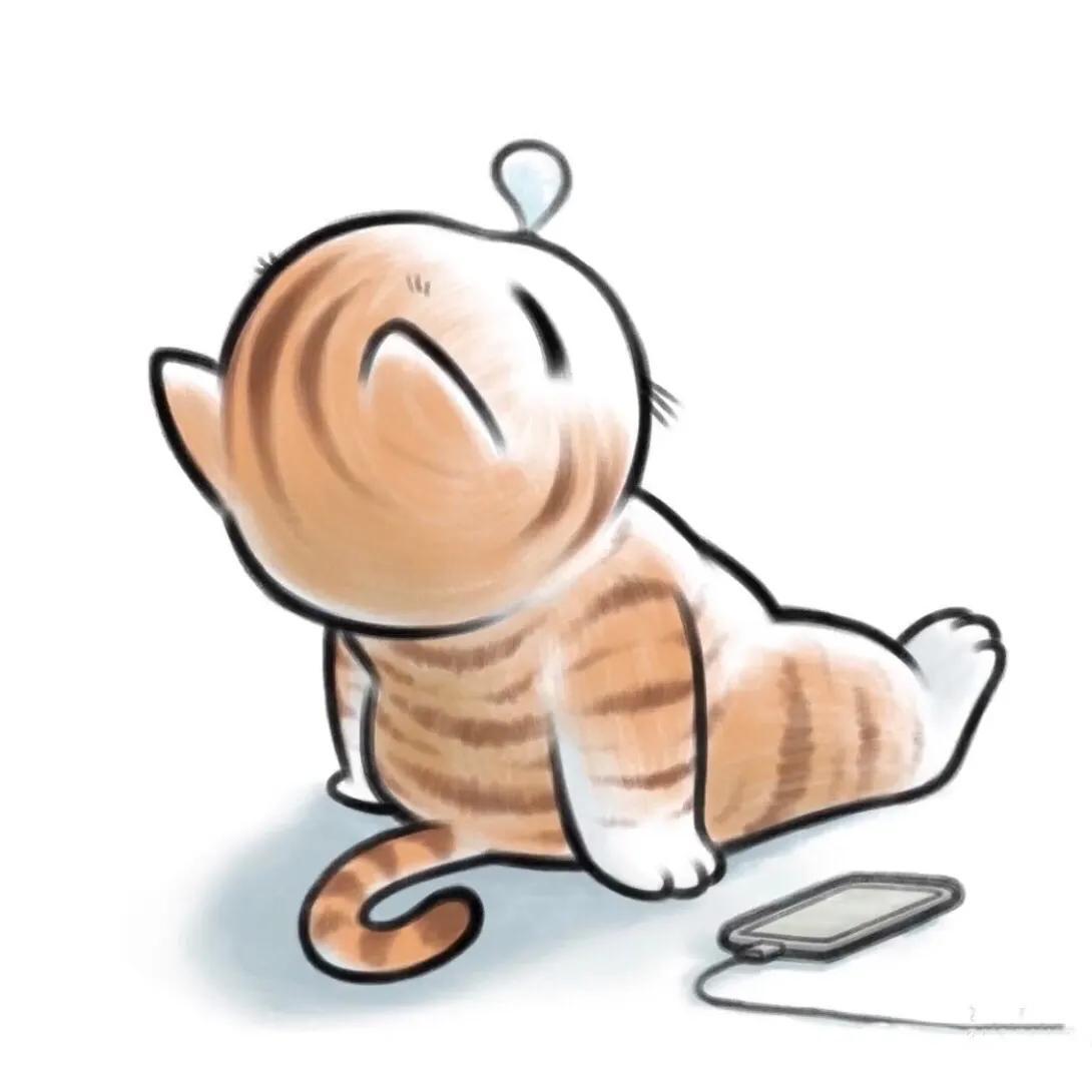 为什么别人的猫咪头像总能收割朋友圈点赞？