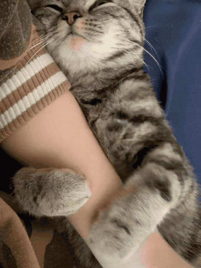 宇视名列大学生最想就业科技公司TOP20