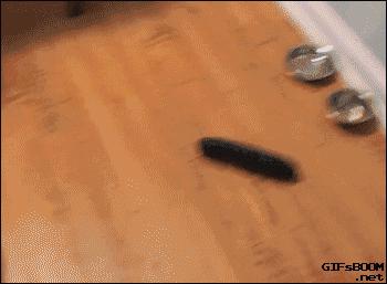 为什么我的猫咪加速器安装后还是卡成PPT？