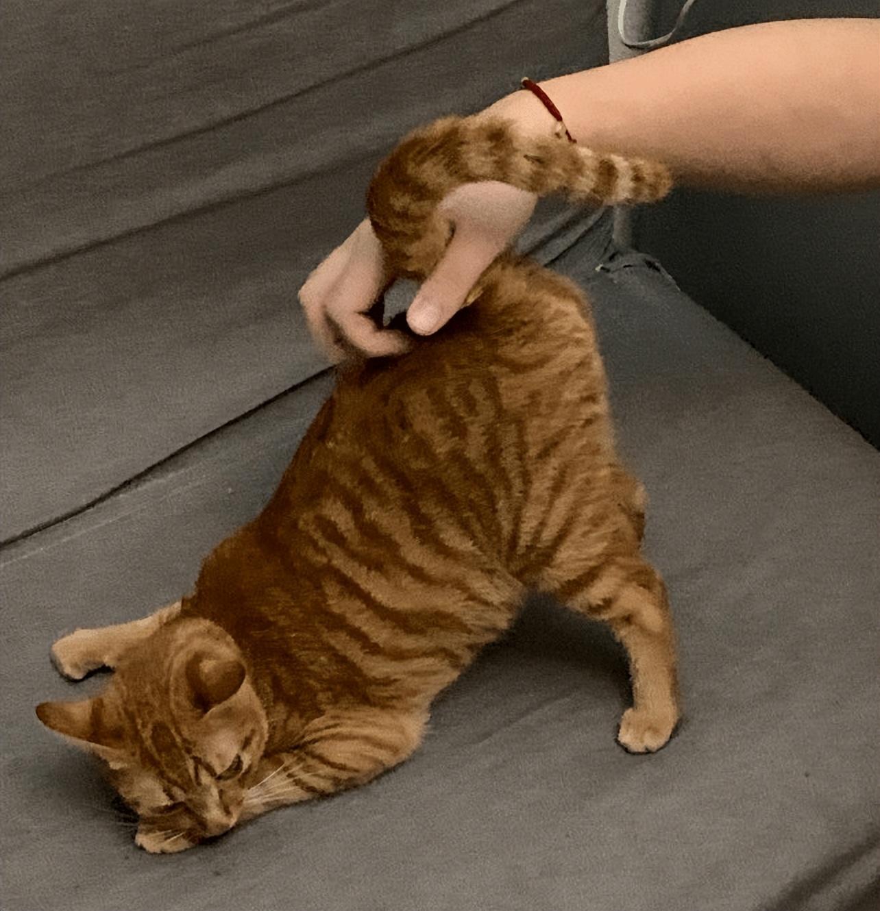 刚来韩国找不到组织?华人论坛到底怎么下载? 刚来韩国找不到组织?华人论坛到底怎么下载?