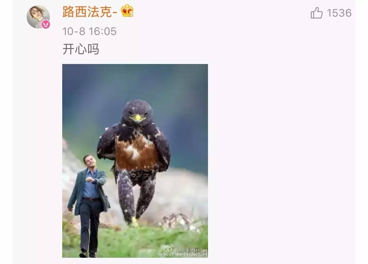 追小李子的微博账号到底靠不靠谱? 追小李子的微博账号到底靠不靠谱?