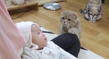 法拉利飙车深夜被扣车?车主如何避开天价罚单_省5万滞纳金的司法判例避坑指南 法拉利飙车深夜被扣车?车主如何避开天价罚单_省5万滞纳金的司法判例避坑指南