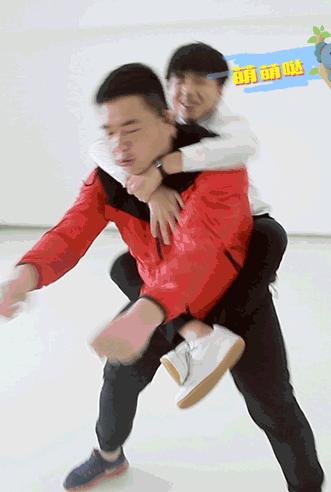 你家猫主子是粘人精还是高冷怪？