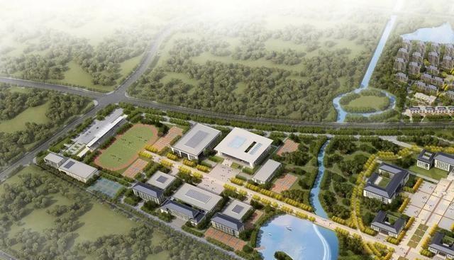 梦见打仗打死很多人预示什么？2025年运势解析与化解指南