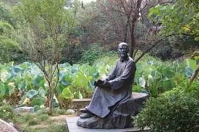 为什么你的婶总被对面秒杀？