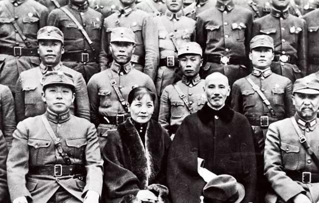 带猫主子坐飞机有多麻烦？