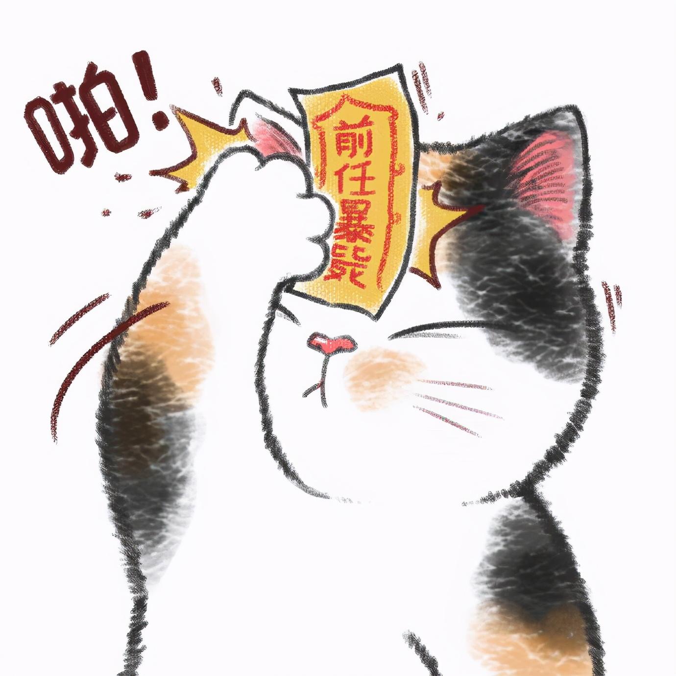 为什么别人的猫咪头像总能收割朋友圈点赞？