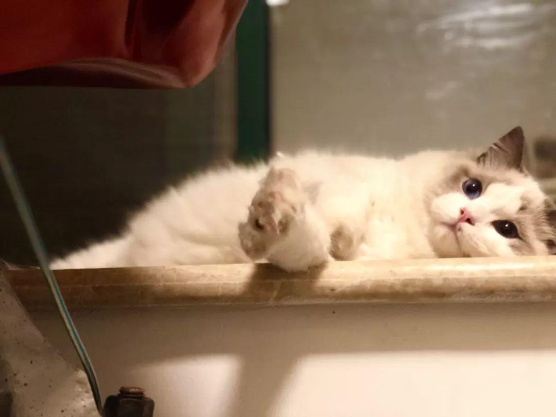 海马7真的是新手避坑神器吗？