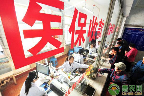 医保断交后会作废吗？断交多久不能报销？看完这篇就清楚，别再瞎担心！