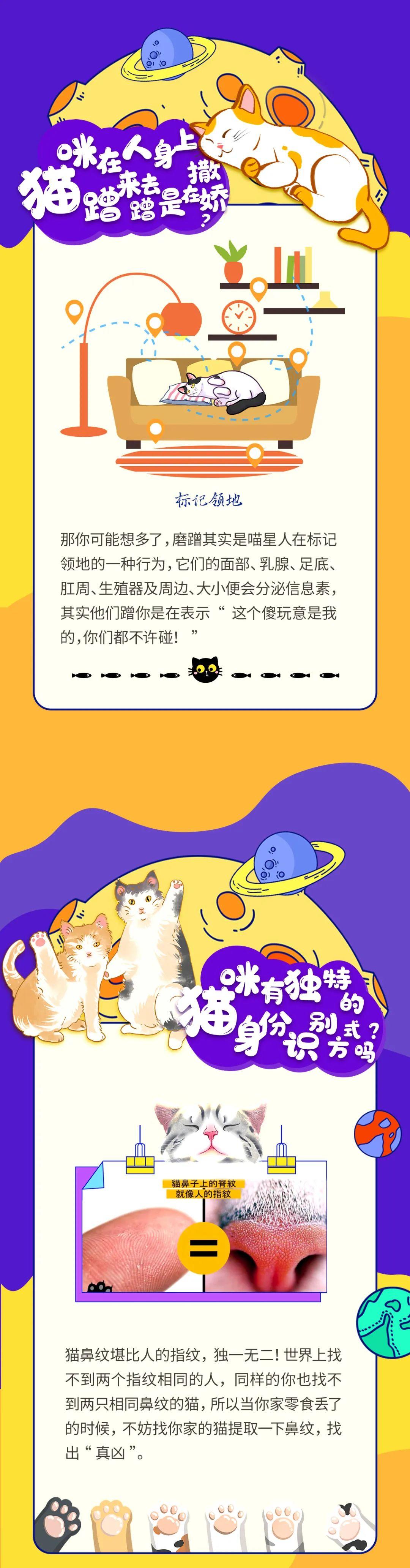 2025年梦见遭遇强盗预示什么？天蝎座破财预警【解梦指南】