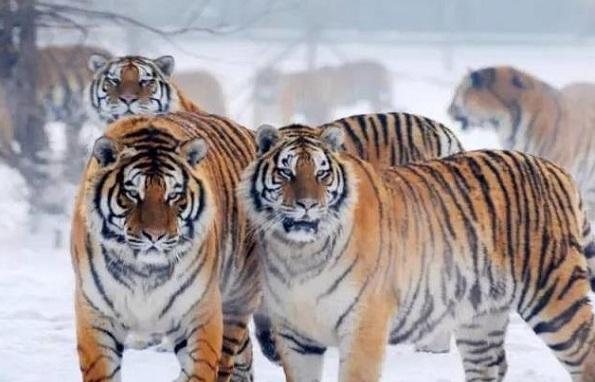 网上姓名配对测出来的结果能信吗？