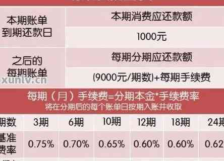 最低还款额会影响信用吗担心？一文详解最低还款额对征信的影响