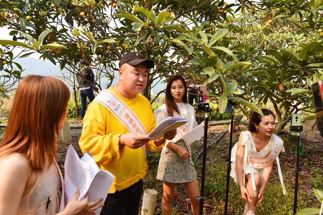 九球体育直播app官方版