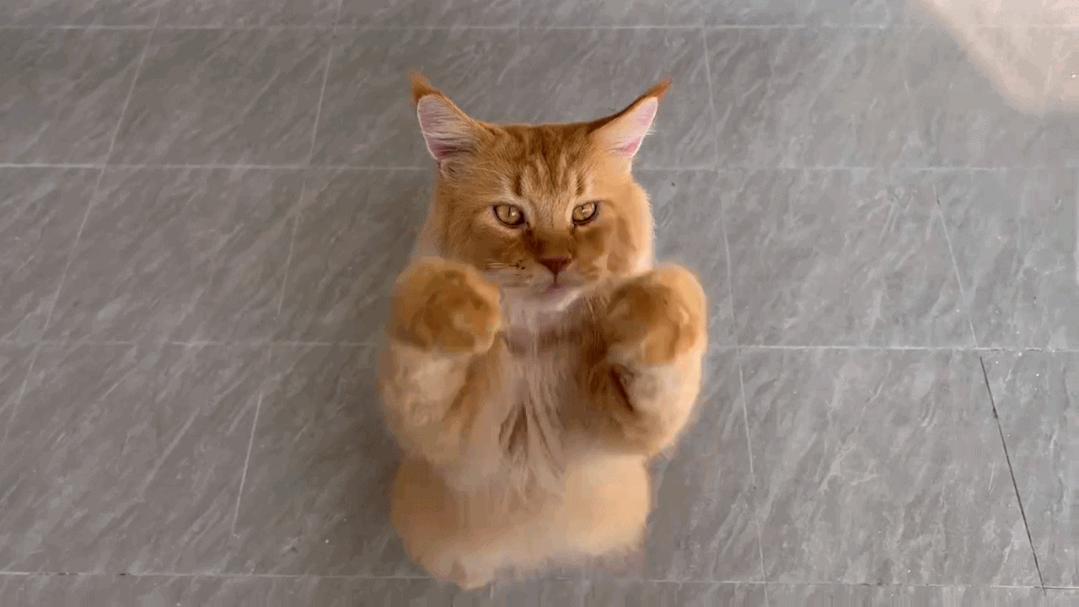 沙漠坦克真的能在沙暴中横行霸道吗？