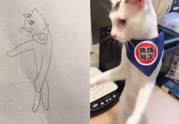 猫咪身上突然冒小黑点会传染给人吗？