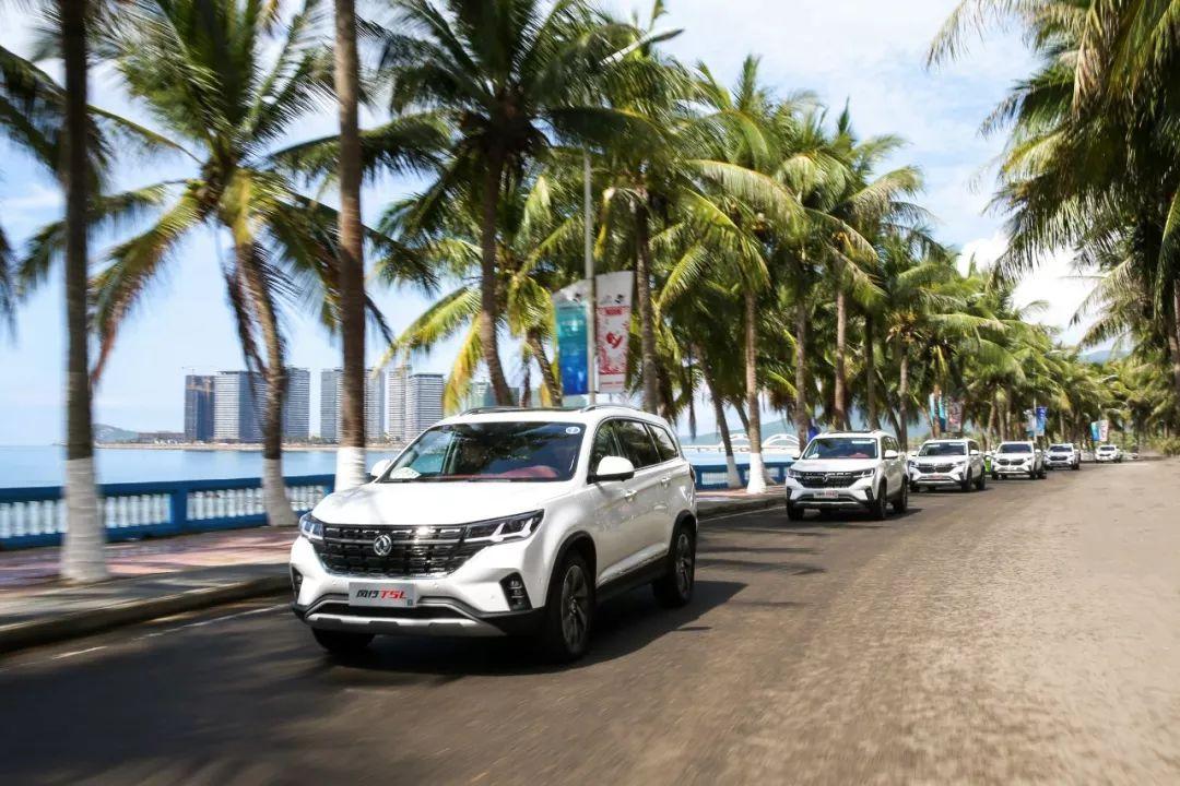 2025解梦：上司辞职的职场预警与双鱼座升迁密码