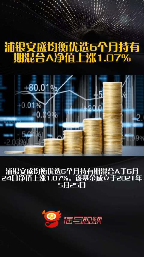 浦银安盛日日丰货币收益怎么样?和同类产品比有优势吗?最新情况看这里 浦银安盛日日丰货币收益怎么样?和同类产品比有优势吗?最新情况看这里