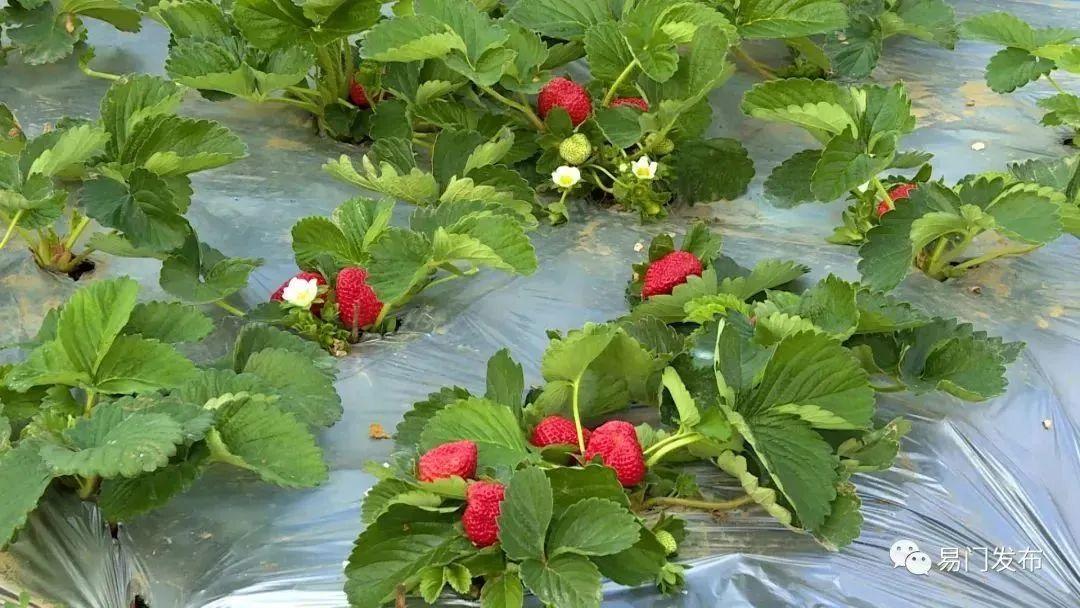 电话订票后订单号到底藏哪儿了？