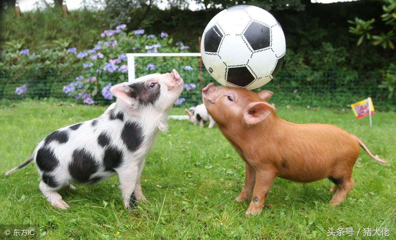 名字起错了真的会倒霉一辈子吗? 名字起错了真的会倒霉一辈子吗?