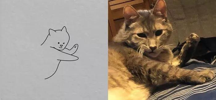 猫咪念经到底是在传递什么信号？