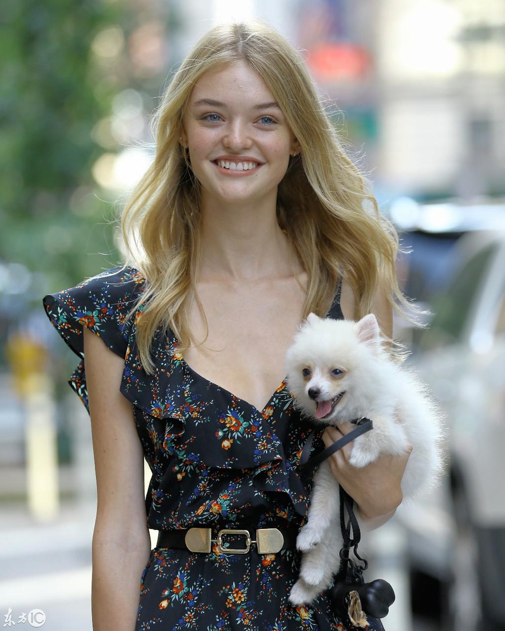 捡到流浪猫后必须注意哪些事? 捡到流浪猫后必须注意哪些事?