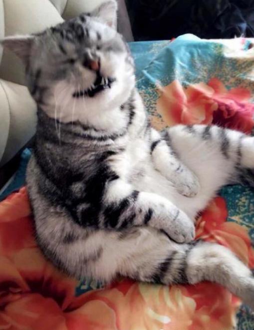 第一次去法国尼斯该怎么玩才不踩雷？