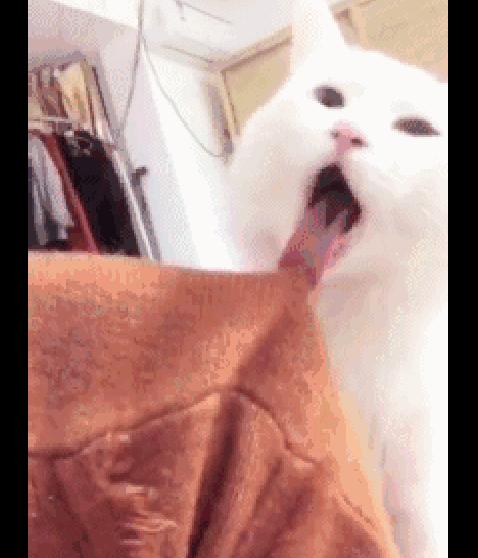 还在为原厂织物座椅烦恼?透气差、易脏难打理 包真皮座椅省3000元全流程避坑指南 还在为原厂织物座椅烦恼?透气差、易脏难打理 包真皮座椅省3000元全流程避坑指南