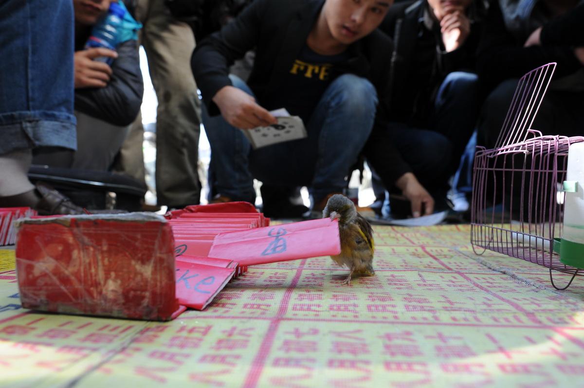 太原哪个旮旯能找到靠谱的算命师傅? 太原哪个旮旯能找到靠谱的算命师傅?