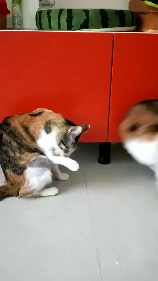 为什么老一辈出门前总要翻黄历？