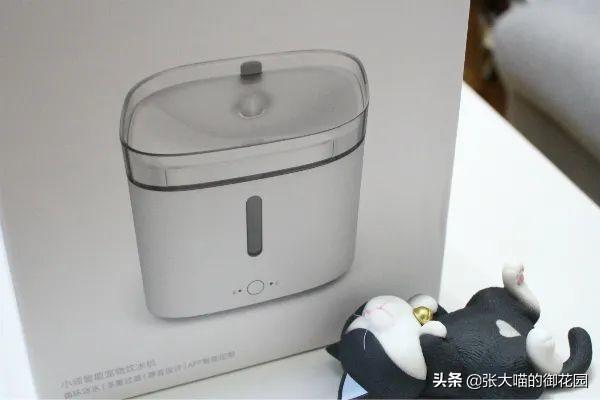 猫咪耳朵突然流水,铲屎官该怎么办? 猫咪耳朵突然流水,铲屎官该怎么办?