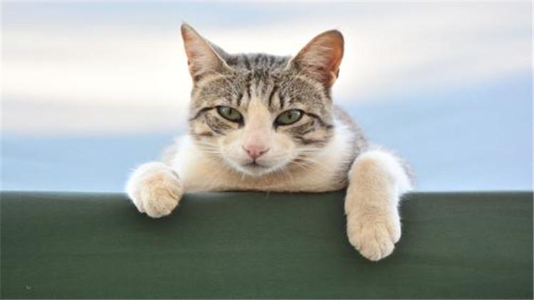 道家修炼文化.doc