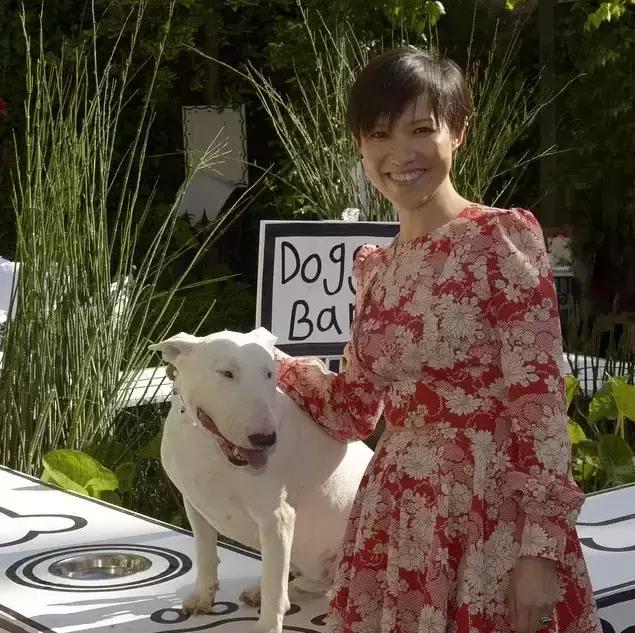 梦见穿高跟鞋预示着什么？