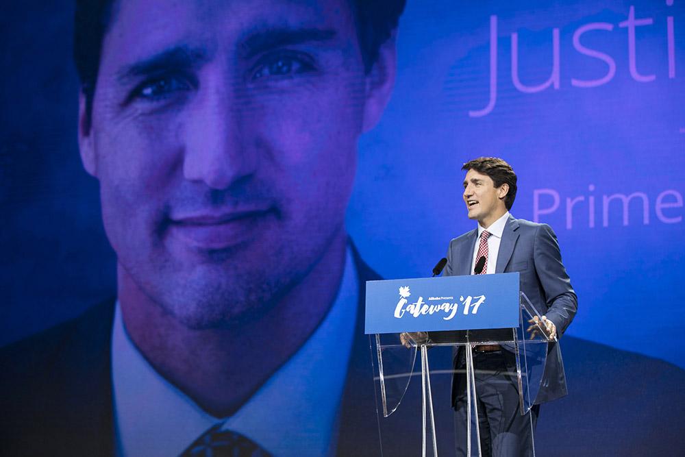 阿尔滨赵明阳到底怎么玩才能快速上手？