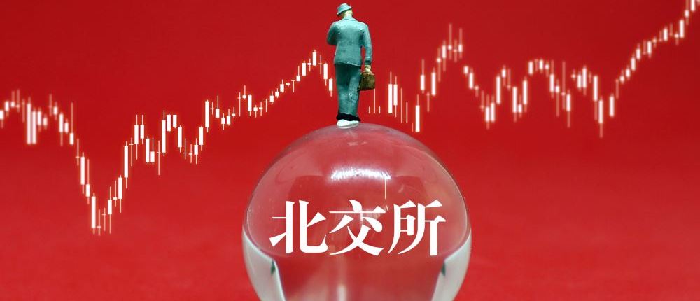 北交所投资机会指南,助你把握市场新机遇 北交所投资机会指南,助你把握市场新机遇