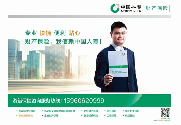 快速搞定中国人寿官网查询，轻松获取关键信息