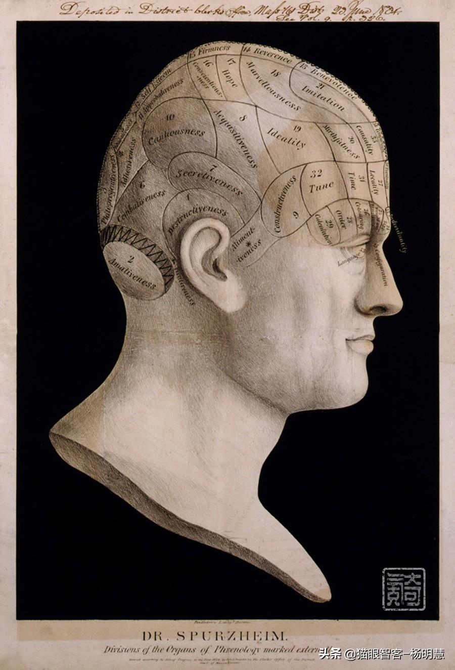 Baccarat Abysse: Varian Permainan Kartu dengan Aturan dan Strategi Unik