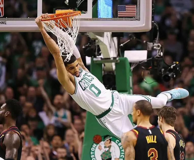 三个月的猫咪能长到成年人手掌那么大吗？