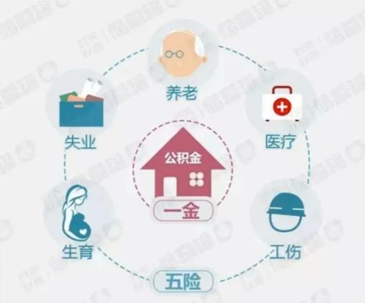 社保五险是哪五险？看病养老失业分别靠哪个险？