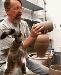 任子威为什么被称为中国短道速滑的破冰者? 任子威为什么被称为中国短道速滑的破冰者?