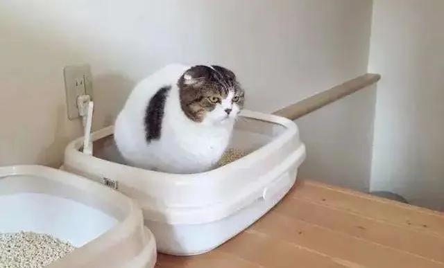 一加应用商店：便捷应用下载平台，入口及找回方法全解析