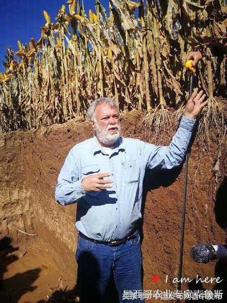 微杏app用了十年都没找到华人论坛入口？