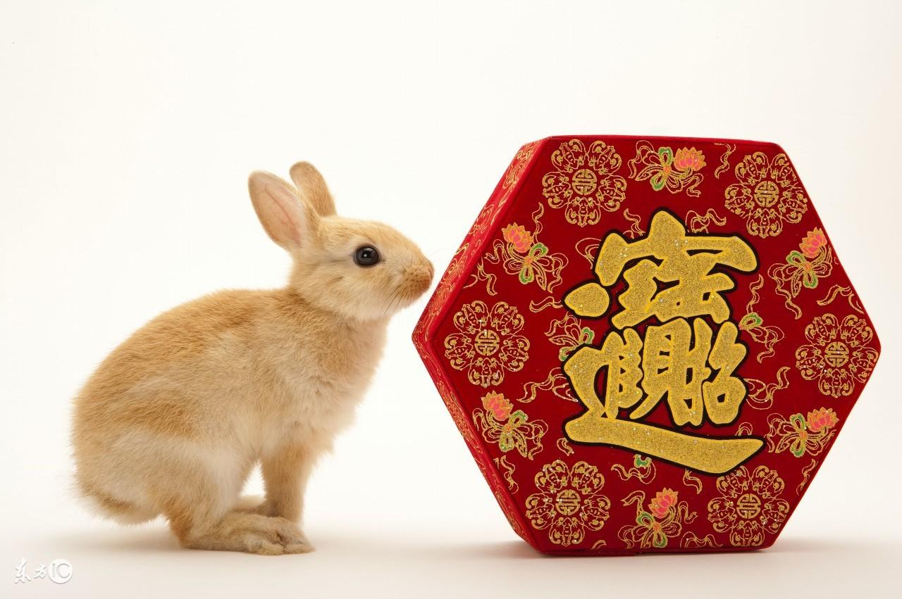 网上算命到底准不准？九易算命网能算出你的未来吗？