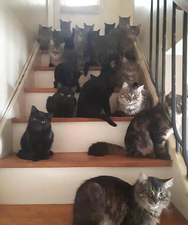 梦见做证明题？潜意识里的逻辑验证与情感启示