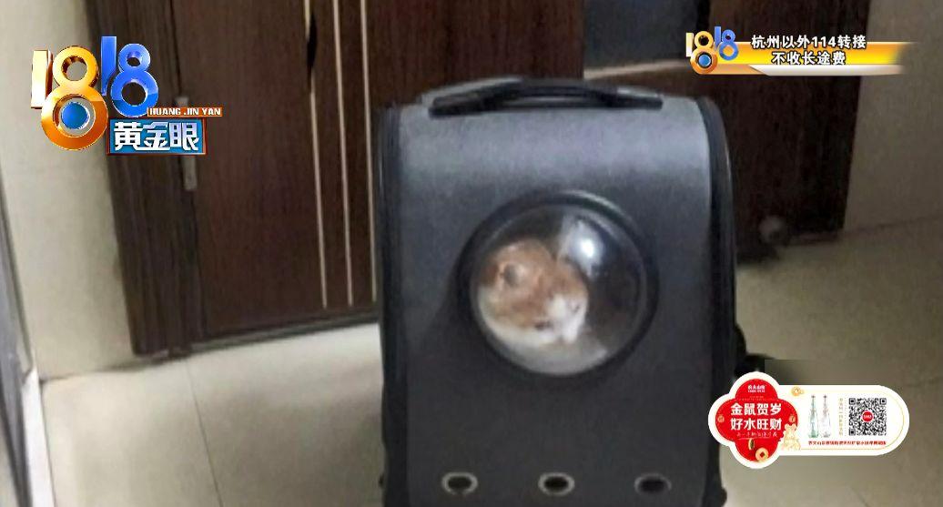 带猫坐火车会被乘务员赶下车吗？