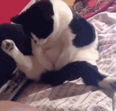 为什么你的杜震宇总在峡谷里刮痧？